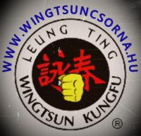 Leung Ting Wing Tsun Kung-Fu Csorna