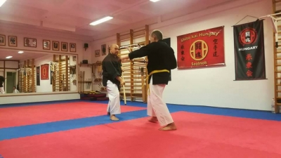 Rákosmenti Karate Sportegyesület
