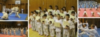 Csepel Karate Sportegyesület