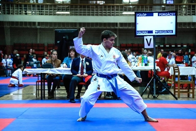 Vasas Karate