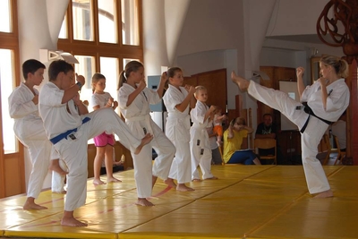 Reiniku Kyokushin Karate Klub