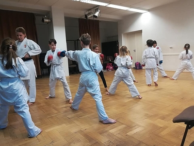 Tenshoku Karate Sportegyesület