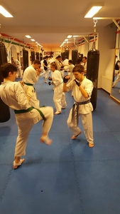 Ippon Kyokushin Karate SE