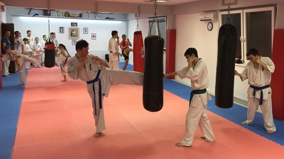 DTKK SE Kyokushin Karate