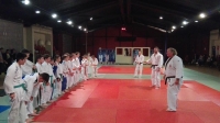 Ledényi Judo Team