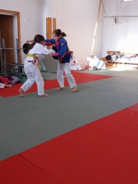 Miskolci Judo Club