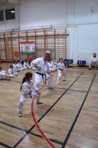 Josui Karate