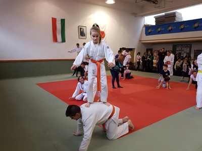 Pápai Judo Akadémia