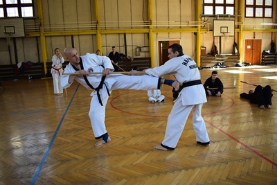 Taekwondo Sentinel SE