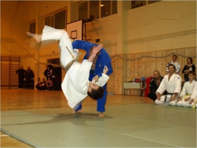 Albertirsai SE Judo szakosztály