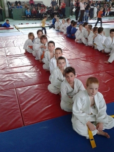 Albertirsai SE Judo szakosztály
