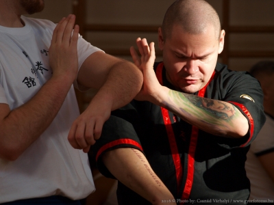 Leung Ting Wing Tsun Kung-Fu Mosonmagyaróvár